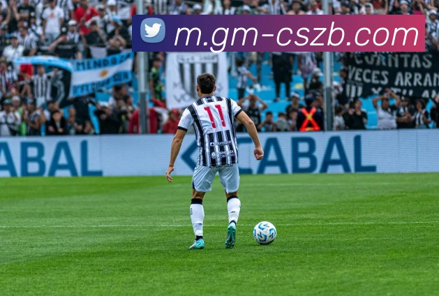 App Interface Preview